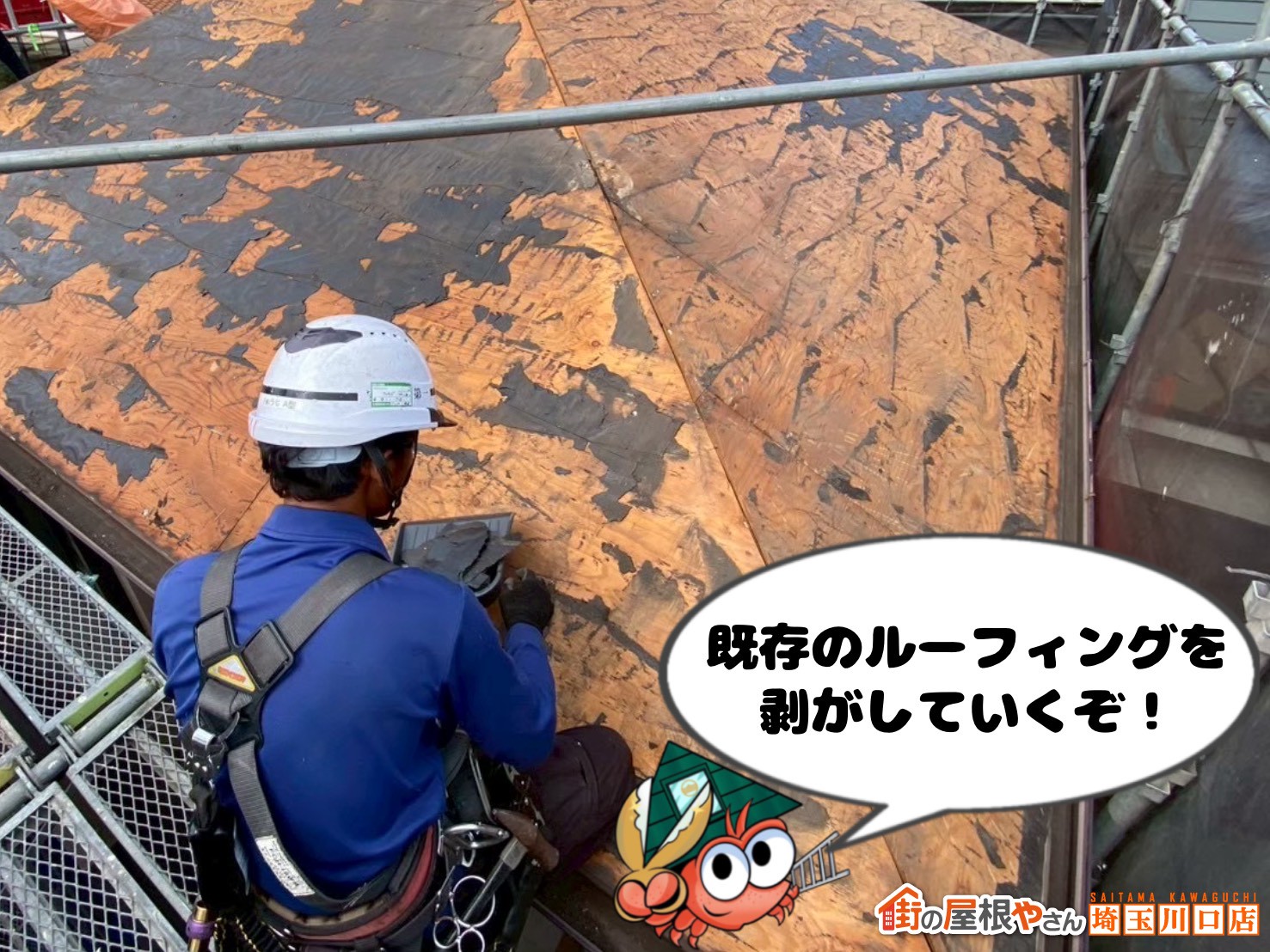 既存のルーフィングを剥がしていくぞ！